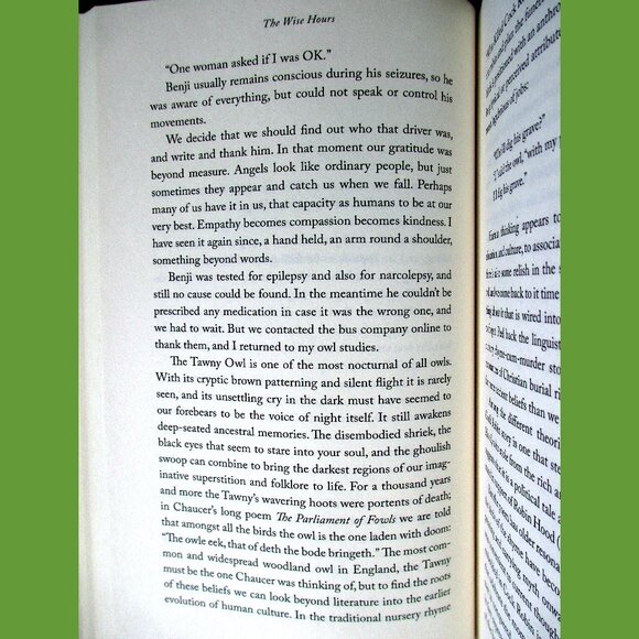 Book - The Wise Hours: A Journey into the Wild and Secret World of Owls - Picture 13 of 15